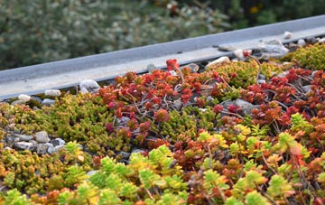 the cost of Ton Teg green roof installation