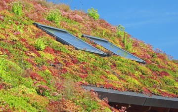 Ton Teg living roof systems