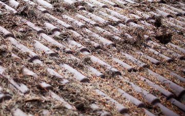 Ton Teg roof cleaning companies