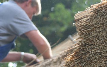 professional Ton Teg thatchers