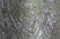 Ton Teg fibreglass roof work